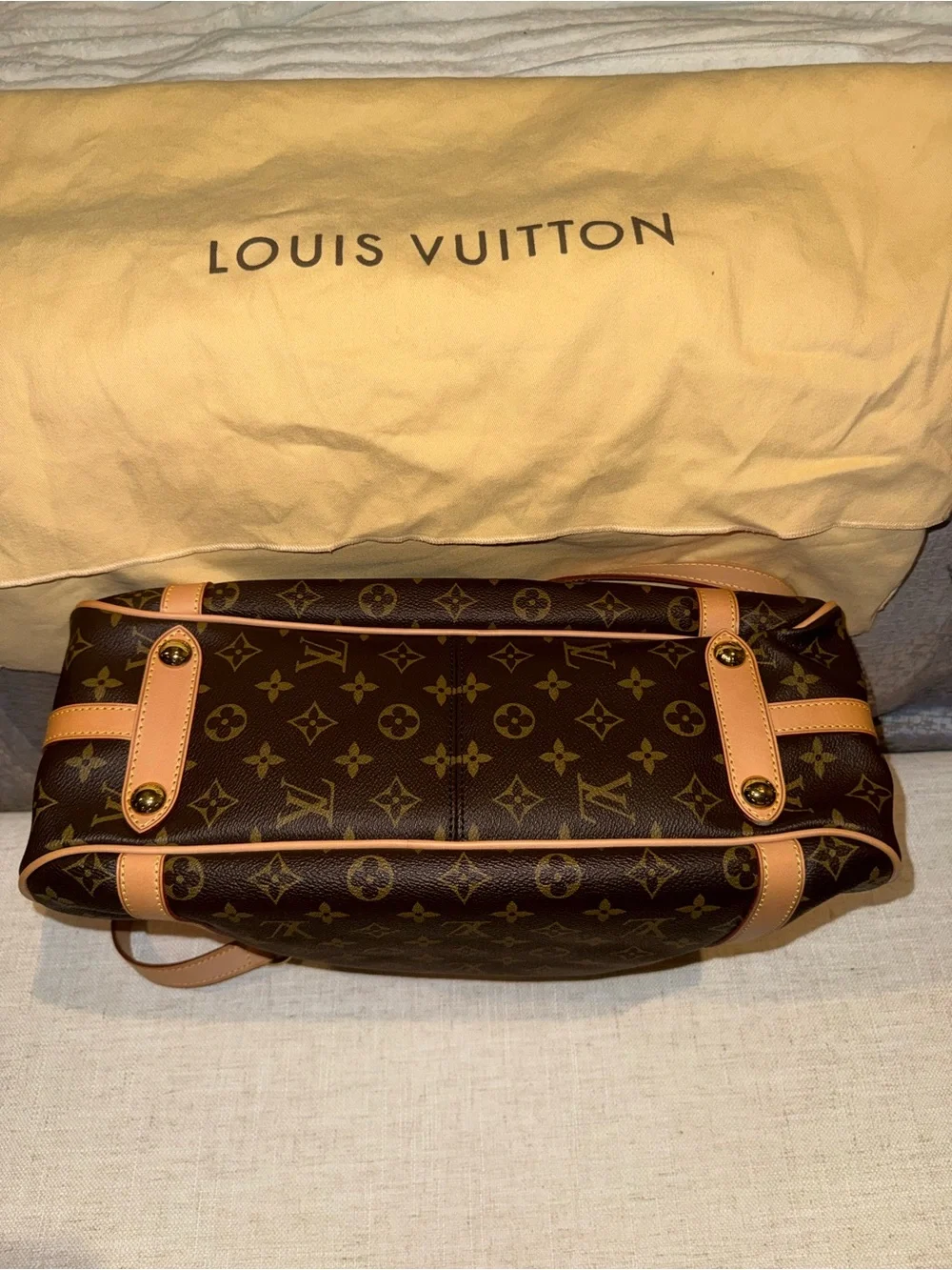 Louis Vuitton this bag